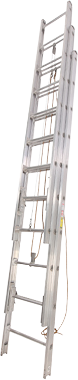 Duo-Safety Ladder